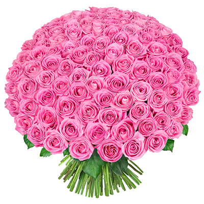 букет розовых роз, 101 розовая роза, купить
