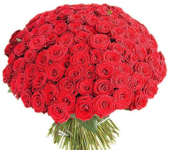 101 красная роза, букет из 101 розы заказать, купить